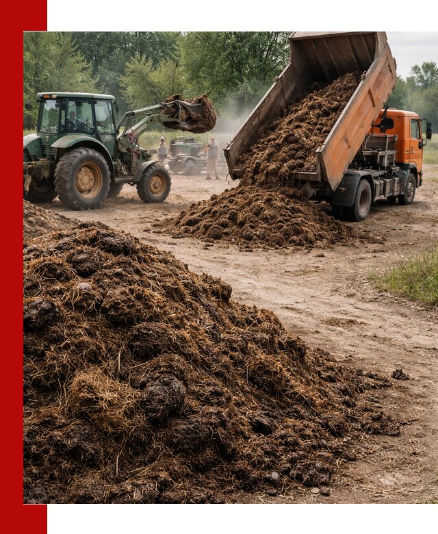 Доставка навоза самосвалами в Чите для сельхозпотребностей