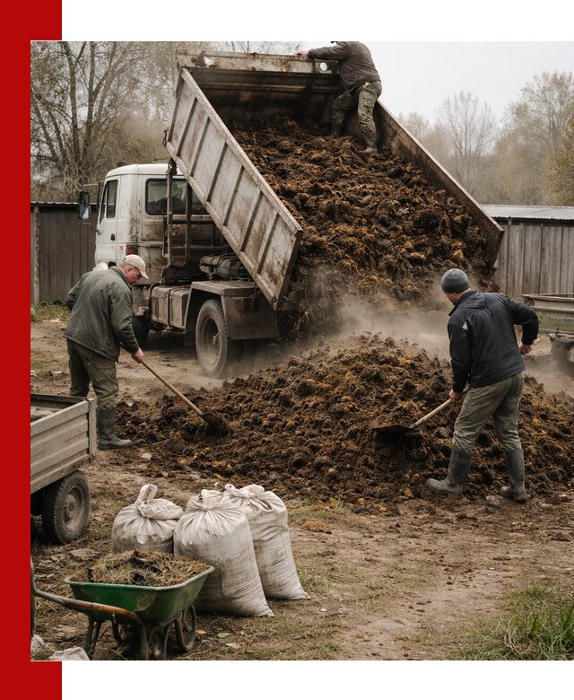Доставка коровьего навоза самосвалом в Чите